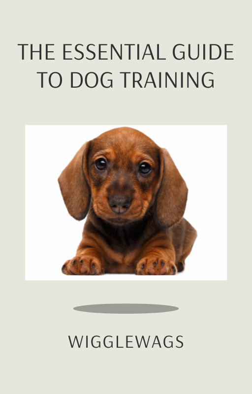Dog Training eBook