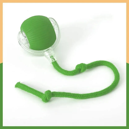 Automatic Rolling Interactive Ball