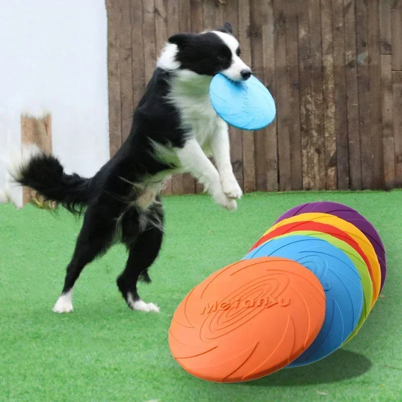 Multicolour Silicone Frisbee Dog Toy
