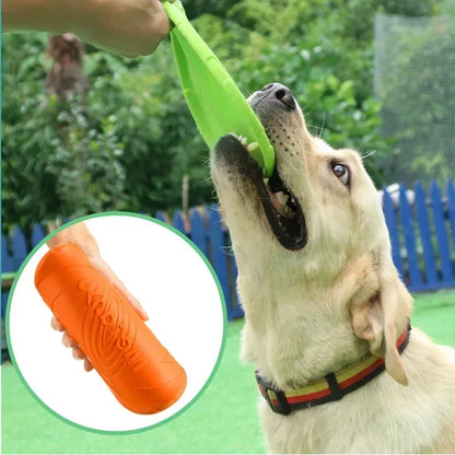 Multicolour Silicone Frisbee Dog Toy