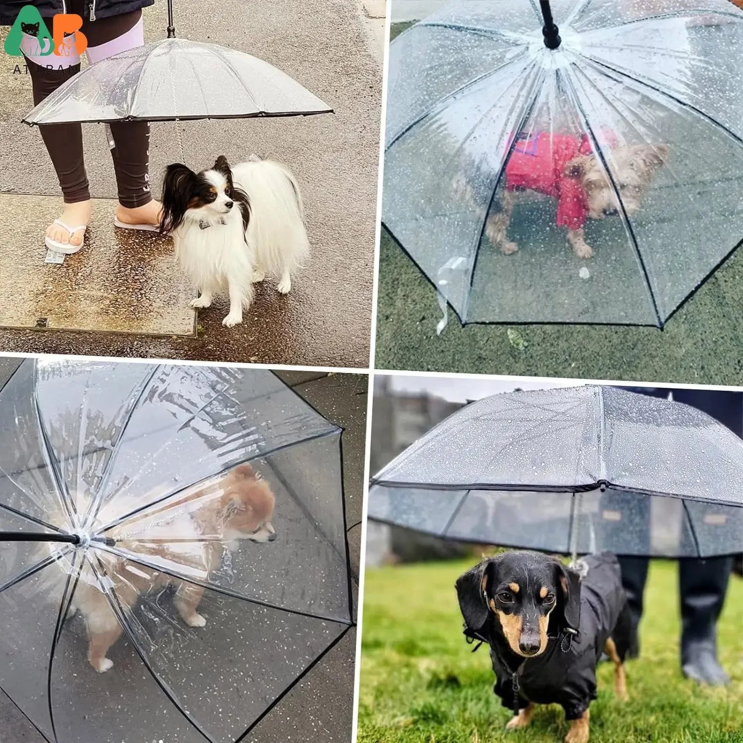 Dog Umbrella with Lead