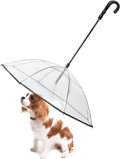 Dog Umbrella with Lead